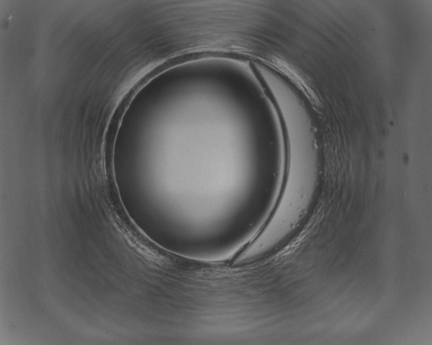 X0000070190884200605301310