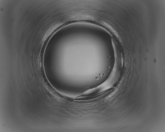 X0000070190885200605301310