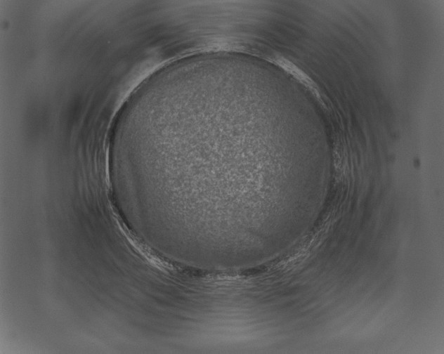 X0000070190886200605301310