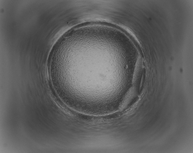 X0000070190887200605301310