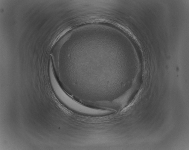 X0000070190889200605301310