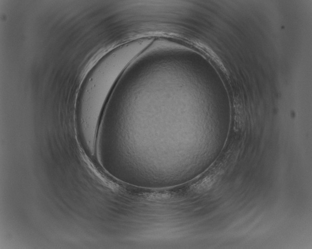 X0000070190890200605301310