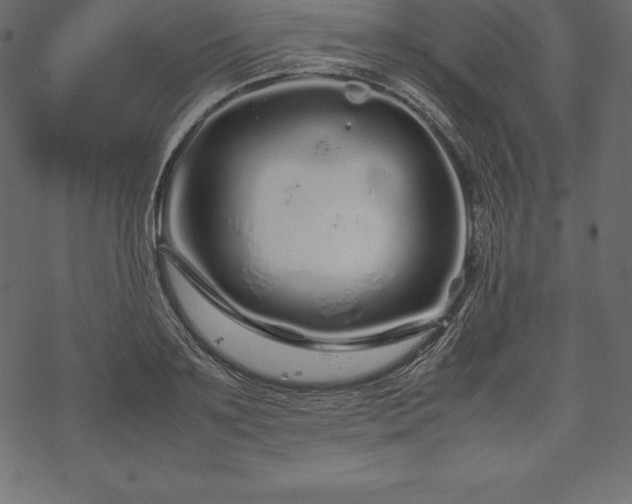 X0000070190891200605301310