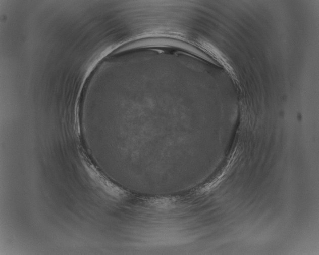 X0000070190892200605301310