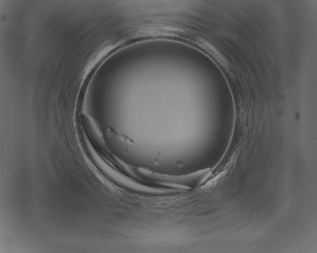 X0000070190893200605301310