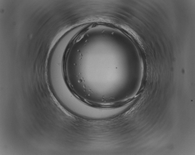 X0000070190894200605301310