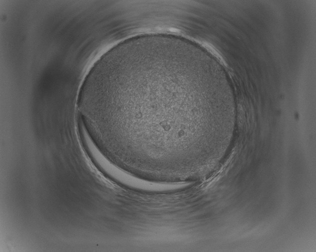 X0000070190895200605301310