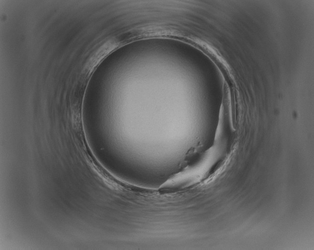 X0000070190897200605301309