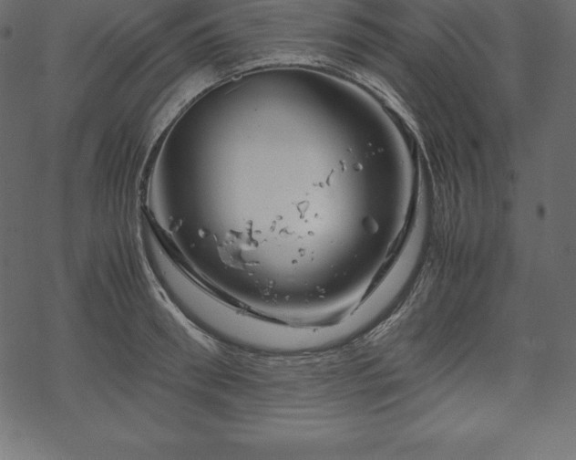 X0000070190898200605301309