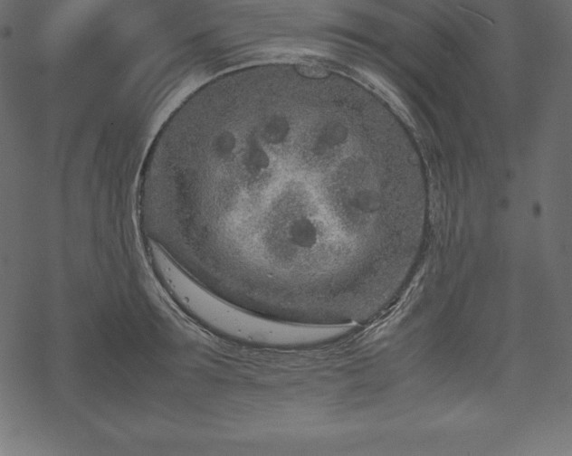 X0000070190899200605301309