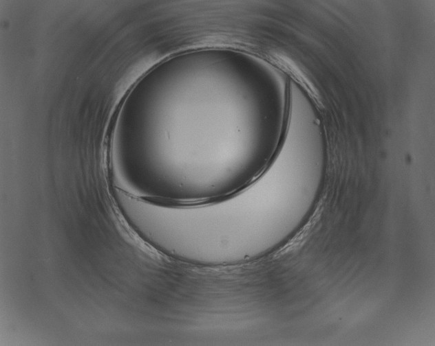 X0000070190900200605301309