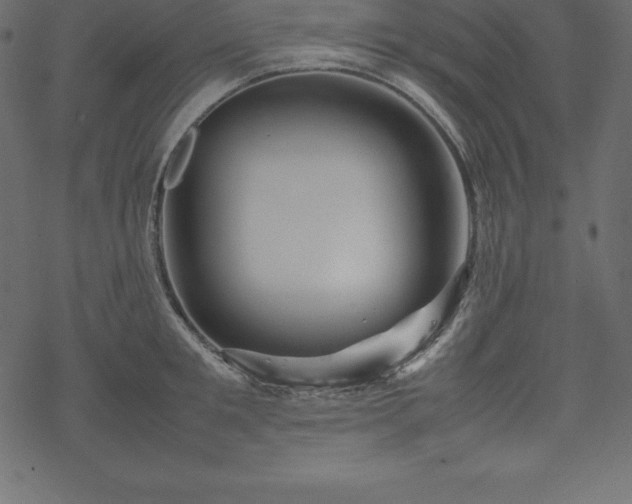 X0000070190901200605301309