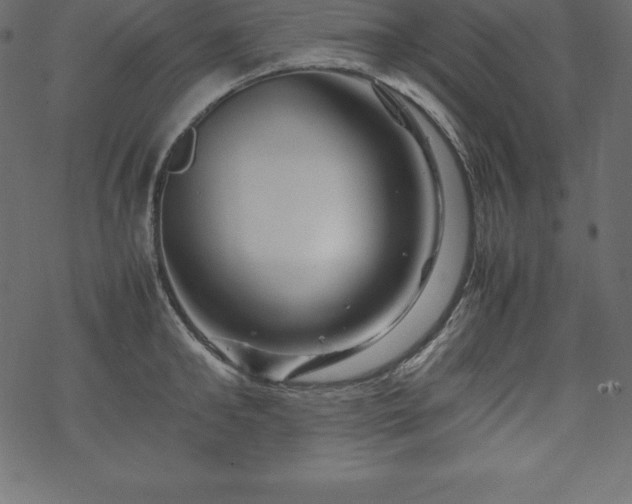 X0000070190902200605301309