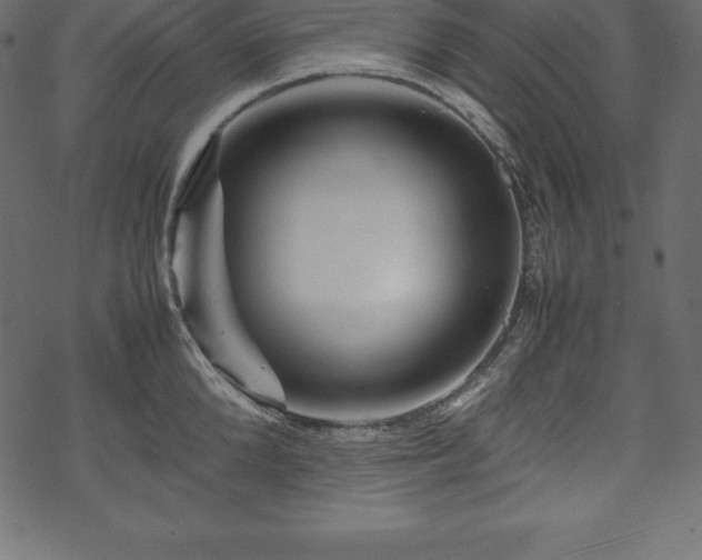 X0000070190904200605301309