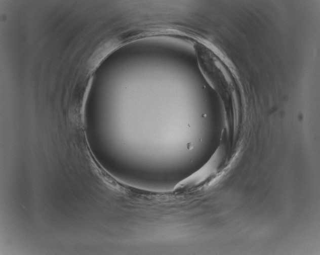 X0000070190905200605301309