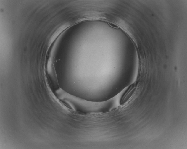 X0000070190906200605301309