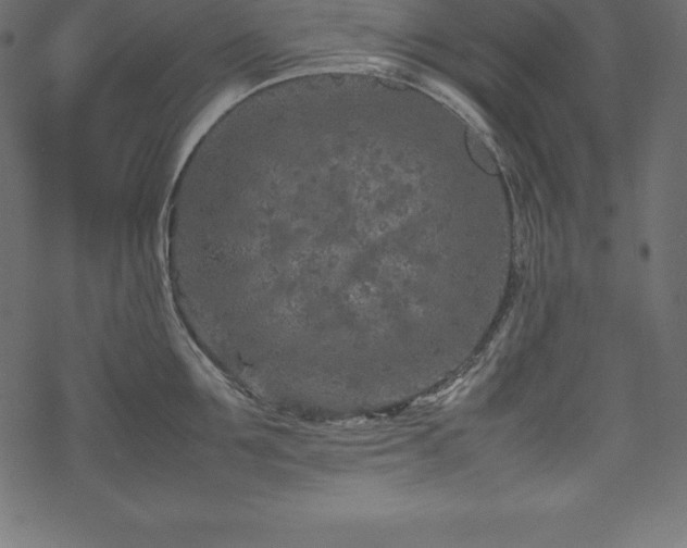 X0000070190907200605301309