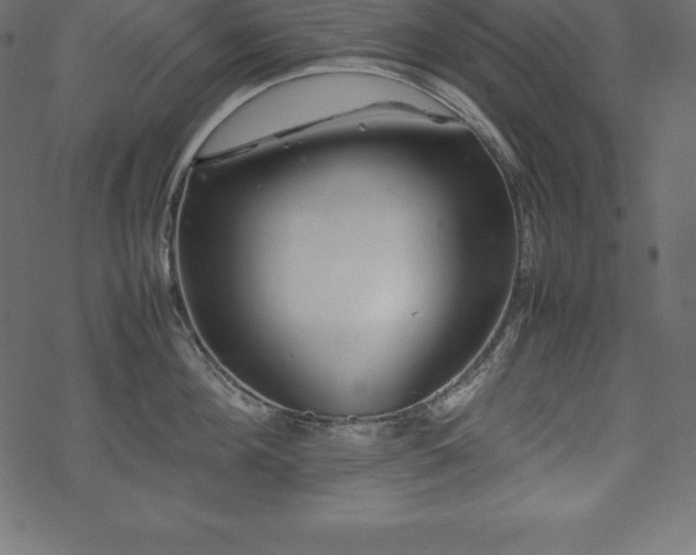 X0000070190908200605301309