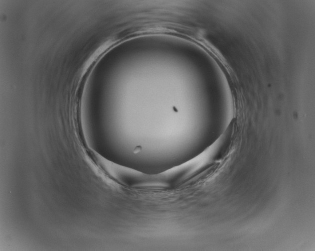 X0000070190909200605301309