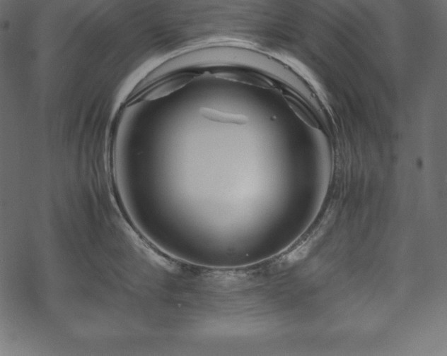 X0000070190910200605301309