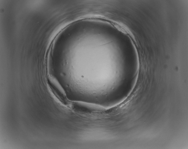 X0000070190911200605301309