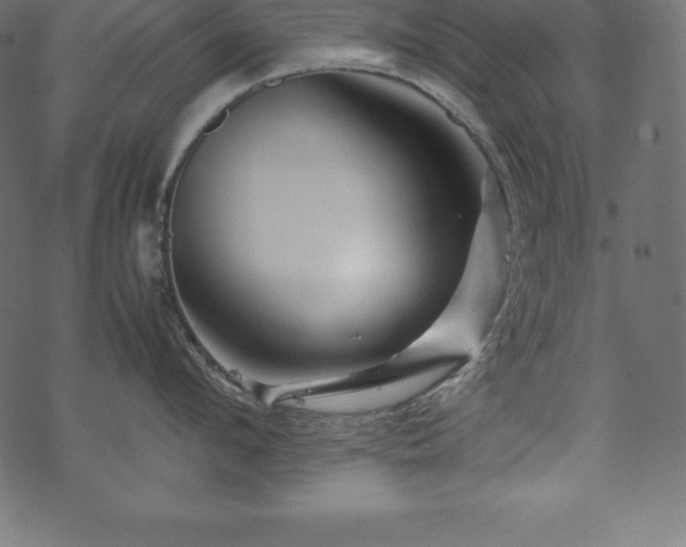 X0000070190912200605301309