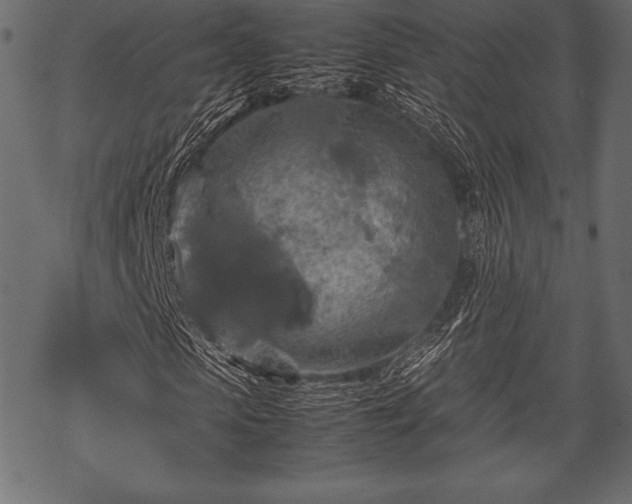 X0000070190913200605301308