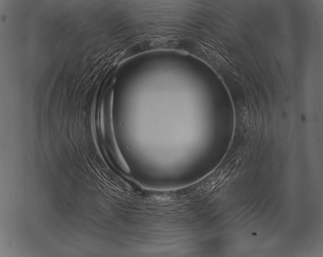 X0000070190914200605301308