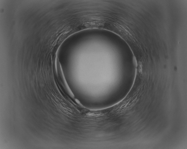 X0000070190915200605301309