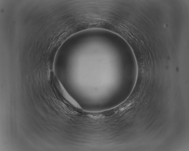 X0000070190916200605301309