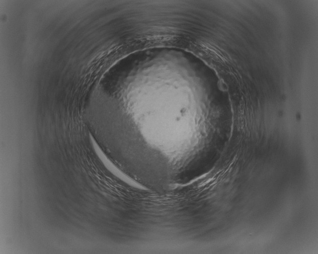 X0000070190917200605301309