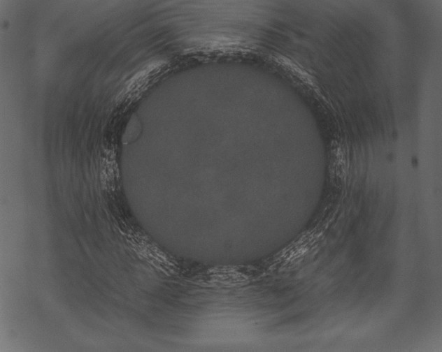 X0000070190918200605301309