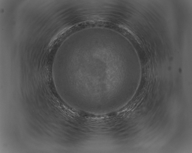 X0000070190919200605301309