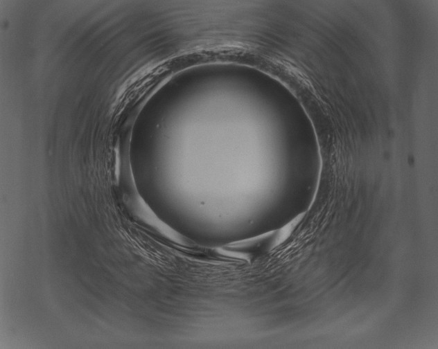 X0000070190920200605301309