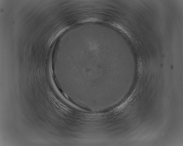 X0000070190921200605301309