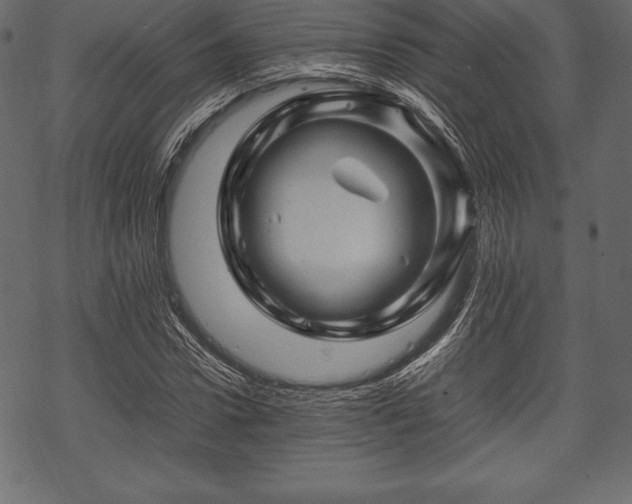 X0000070190922200605301309