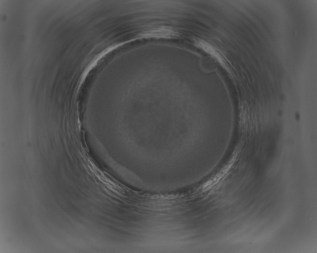 X0000070190923200605301309