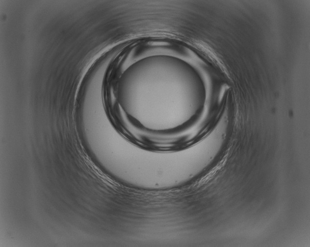 X0000070190924200605301309