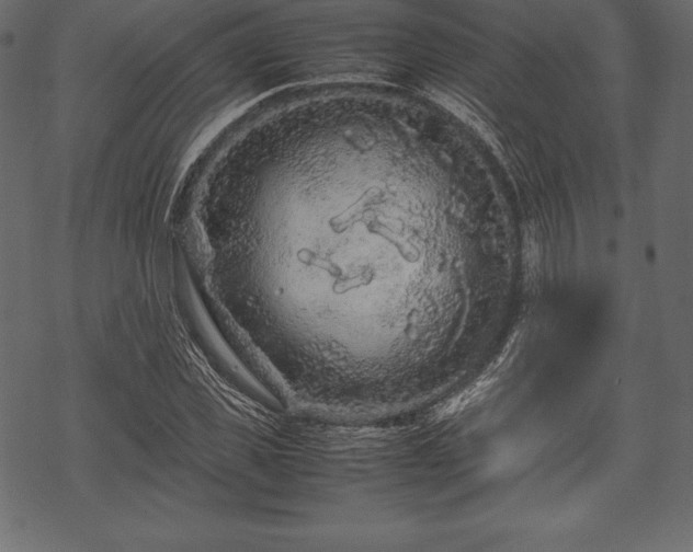 X0000070190925200605301309