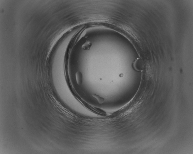 X0000070190926200605301309