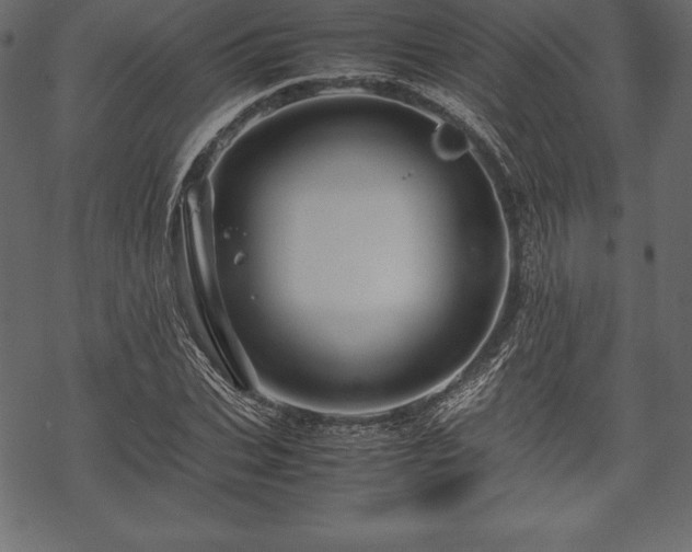 X0000070190927200605301309