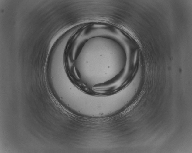 X0000070190928200605301309