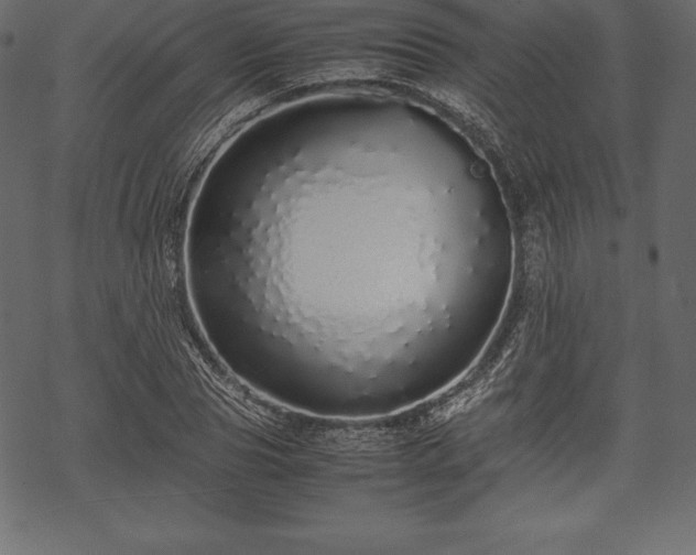 X0000070190929200605301309