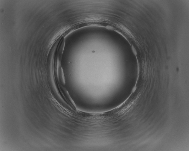 X0000070190930200605301309