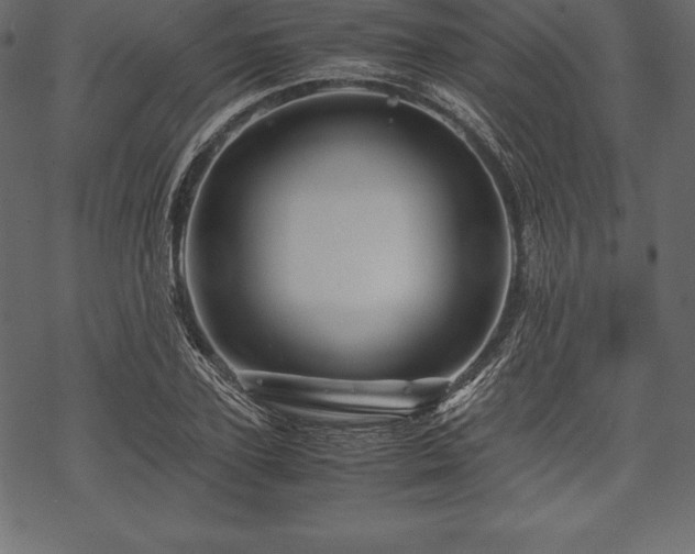 X0000070190931200605301309