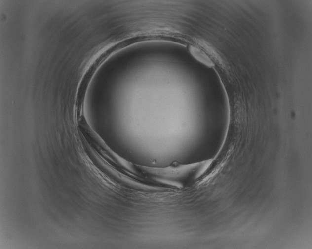 X0000070190932200605301309