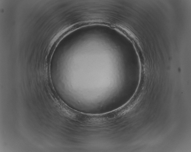 X0000070190933200605301309