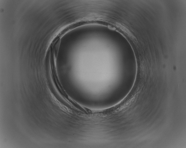 X0000070190934200605301309