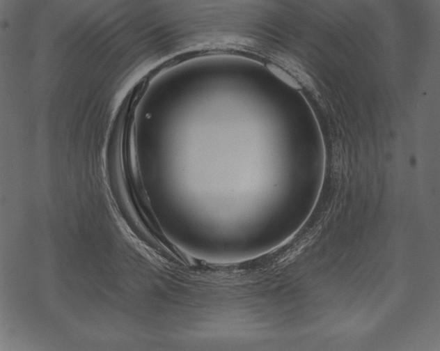 X0000070190936200605301309