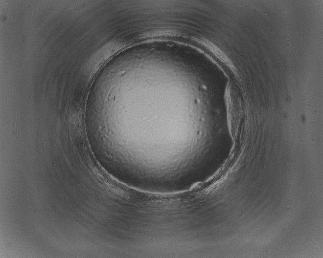 X0000070190937200605301309